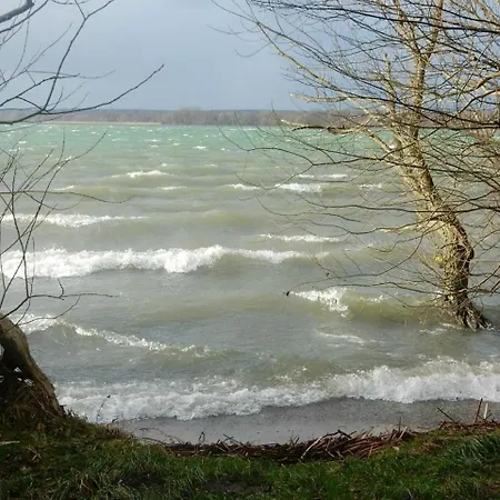 Luise Am *
